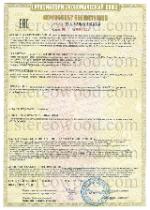 Сертификат соответствия № ЕАЭС RU С-RU.НА46.В.02452/21: Горки детской игровой площадки; - 1
